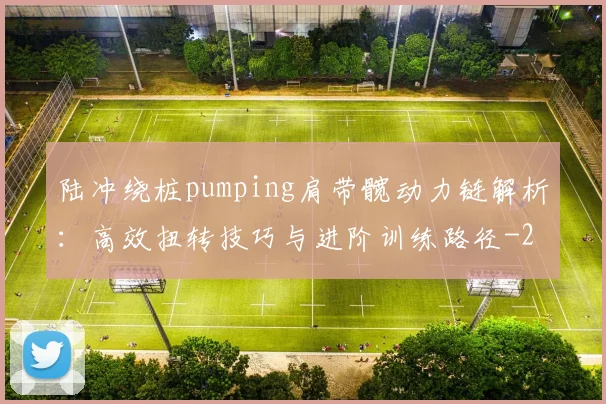 陆冲绕桩pumping肩带髋动力链解析：高效扭转技巧与进阶训练路径